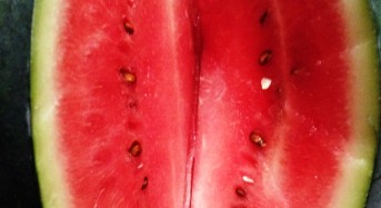 Melonen haben in der Sommerzeit Hauptsaison