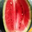 Melonen haben in der Sommerzeit Hauptsaison
