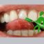 Vegane Bio-Zahncreme mit Aloe Vera – Anzeige