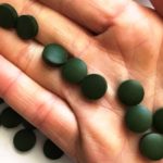 Chlorella - Die beliebte Süßwasseralge - Teil 1