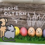 Oster-Überraschungsbox für Katzen