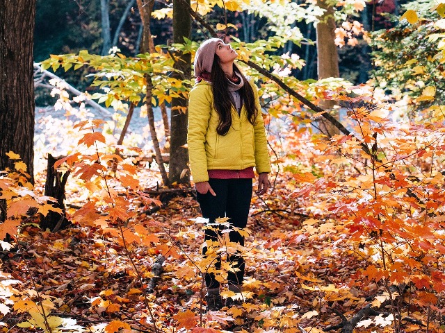 Die schönsten Herbstfarben, Quelle: pixabay