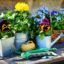 Blumenerde: Welche Erde ist die Richtige?