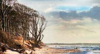 Ostsee Strände – Die 10 schönsten Ostseestrände