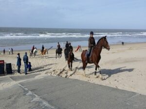 Beliebte Reiseziele, Zeeland, Bild von Udo Bertram auf Pixabay