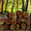 Brennholzpreise – Der richtige Vergleich
