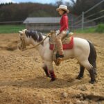 Schleich-Figuren und Tiere - Was sind sie wert?