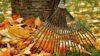 Laub entsorgen – Umweltfreundliche Empfehlungen